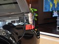 神行者2 神行者2 2.0T AT Dynamic限量版 2013款图片
