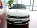 速腾 速腾 2.0 TSI GLI 2013款 图片