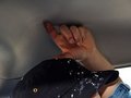 悦悦 2013款 悦悦图片