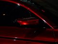 DS wild rubis 2013款 DS wild rubies图片