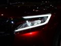 DS wild rubis 2013款 DS wild rubies图片