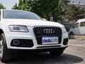奥迪Q5 奥迪Q5 40 TFSI quattro 舒适型 5座 2013款图片
