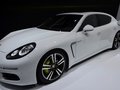 Panamera 2013款 Panamera E-Hybrid图片