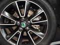 Yeti（进口） 2013款 YETI 尊享版图片