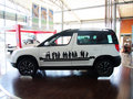 Yeti（进口） 2013款 1.8T DCT 尊享版 5座图片