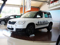 Yeti（进口） 2013款 1.8T DCT 尊享版 5座图片