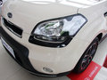 秀尔 2013款 秀儿 1.6L AT Premium图片
