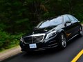 奔驰S级 2014款 奔驰S500图片