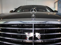 奔驰S级 2014款 S500L图片