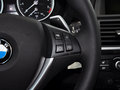 宝马X6 2013款 3.0T xDrive35i 图片