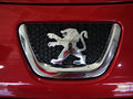 標致307 2013款 標致307兩廂 1.6L AT CROSS版圖片