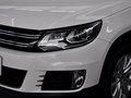 途观 2013款 1.8TSI 自动 两驱豪华型图片