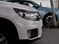途观 2013款 1.8TSI 自动 两驱豪华型图片