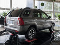 狮跑 2013款 狮跑 2.0 GLS 手动两驱图片