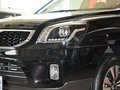 狮跑 2013款 2.0GLS 自动两驱图片
