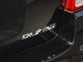 狮跑 2013款 DLX 自动两驱图片