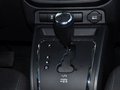 自由客 2.4L 自動(dòng) 蛇行珍藏版 5座 2014款圖片