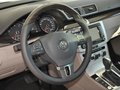 迈腾 2013 2.0TSI DSG 至尊版图片
