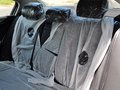迈腾 迈腾 2.0TSI DSG 豪华型 2013款图片