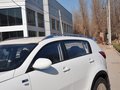 智跑 2014款 GL 2.0L 自动 2WD 图片