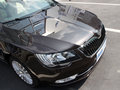 速派 2013款 2.0T DSG 尊仕版图片