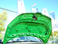 晶锐 1.6L 自动 Sport版 2014款图片