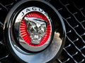 捷豹XJ XJR 基本型 2014款图片