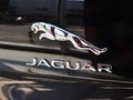 捷豹XJ XJL 3.0 SC 四驅(qū)旗艦商務(wù)版 2014款圖片