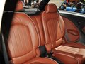 MINI PACEMAN 图片