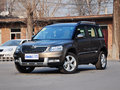 Yeti 2014款 野帝 1.8TSI DSG 极地版图片
