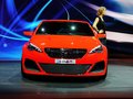 標致308(進口) 308RConcept2014款