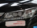 雅阁 图片