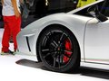 Gallardo 图片