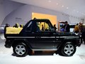 奔驰G级 G500 Cabrio2013款