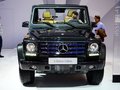 奔驰G级 G500 Cabrio2013款