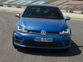 高尔夫(进口) 2014款 Golf R图片