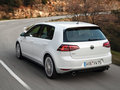 高尔夫(进口) 2014款 Golf GTI图片