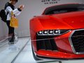 NANUK 图片