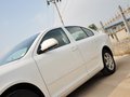 明銳 2014款 1.4TSI DSG 逸致版圖片