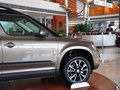 Yeti 2013款1.8TSI DSG 野驱版图片