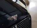 飞驰 6.0T 自动 W12 豪华版 2013款图片