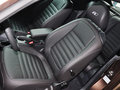 甲殼蟲(chóng) 2014款 1.4TSI DCT R-Line圖片