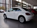 甲殼蟲 甲殼蟲 1.4TSI 舒適型 2014款圖片