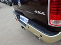 RAM Trucks霸王龙 2014款 5.7L 长角版图片