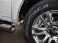 RAM Trucks霸王龙 2014款 5.7L 长角版图片
