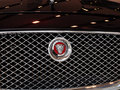 捷豹XJ XJL 3.0 SC 两驱尊享商务版 2014款图片