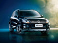 Tiguan 2014款 Tiguan