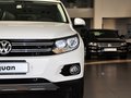 Tiguan Tiguan 2.0TSI 专享版 2014款