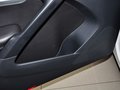 Tiguan Tiguan 2.0TSI 专享版 2014款图片