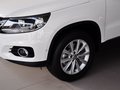 Tiguan Tiguan 2.0TSI 专享版 2014款图片